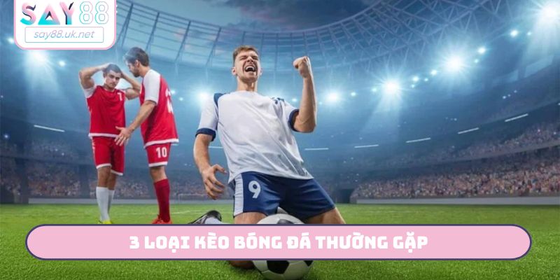 3 Loại Kèo Bóng Đá Thường Gặp - Hướng Dẫn Đọc Kèo Cùng SAY88 3 loại kèo bóng đá thường gặp