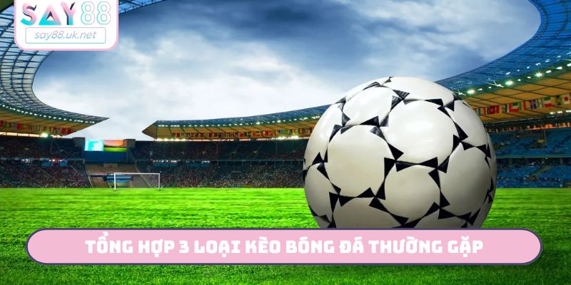 3 Loại Kèo Bóng Đá Thường Gặp - Hướng Dẫn Đọc Kèo Cùng SAY88 Tổng hợp 3 loại kèo bóng đá thường gặp